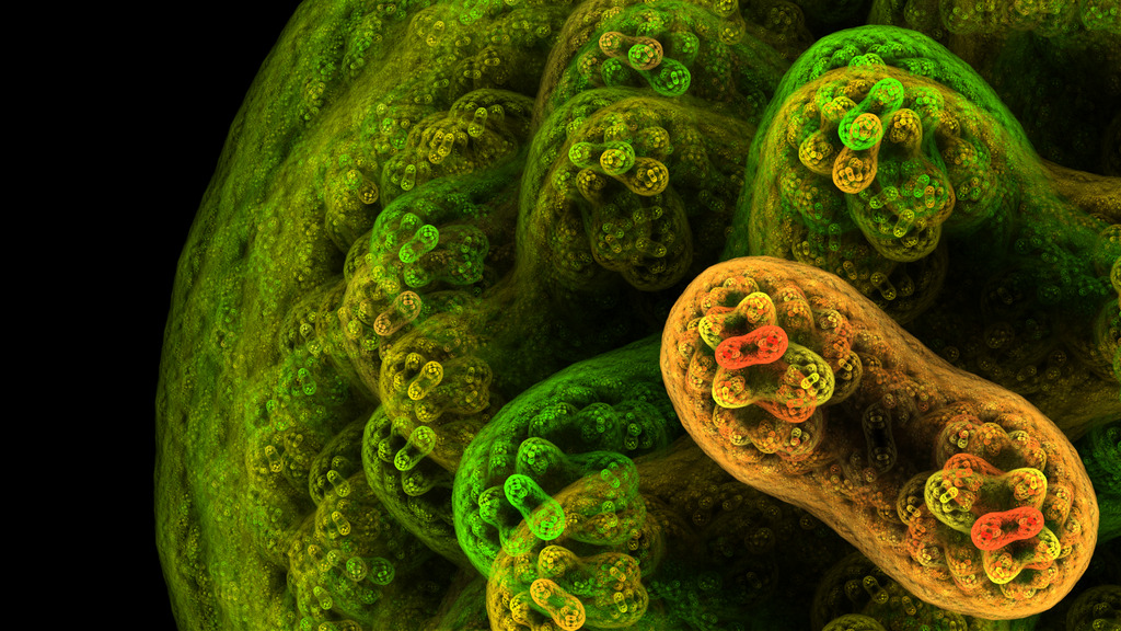 image description here